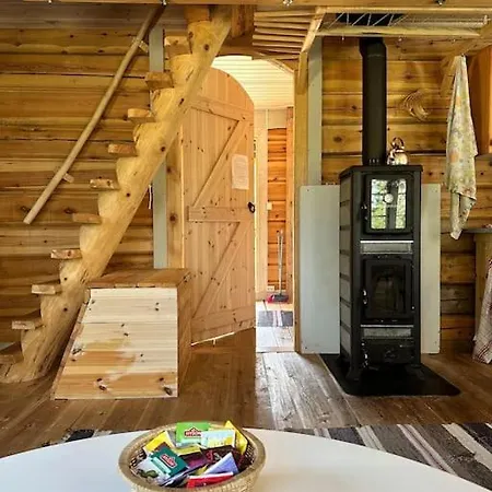 Husky Farm Cabin At Offtrack Experience *