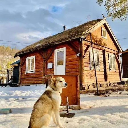 Husky Farm Cabin At Offtrack Experience *
