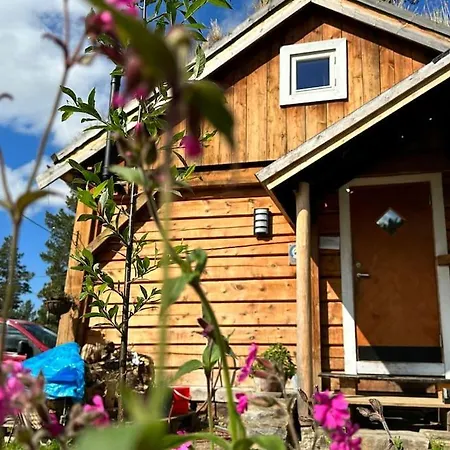 Husky Farm Cabin At Offtrack Experience Chalet