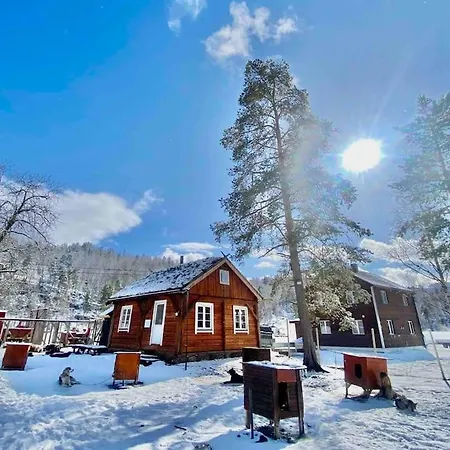 Husky Farm Cabin At Offtrack Experience Overbygd