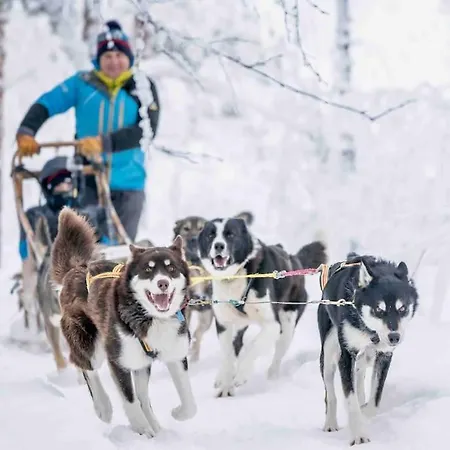 Husky Farm Cabin At Offtrack Experience *